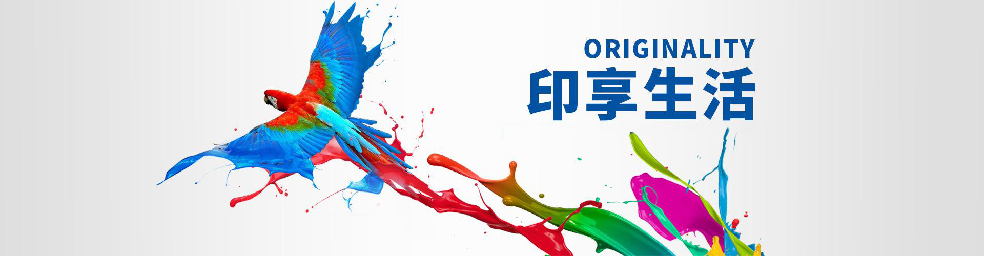 掃描關(guān)注網(wǎng)站建設(shè)微信公眾賬號